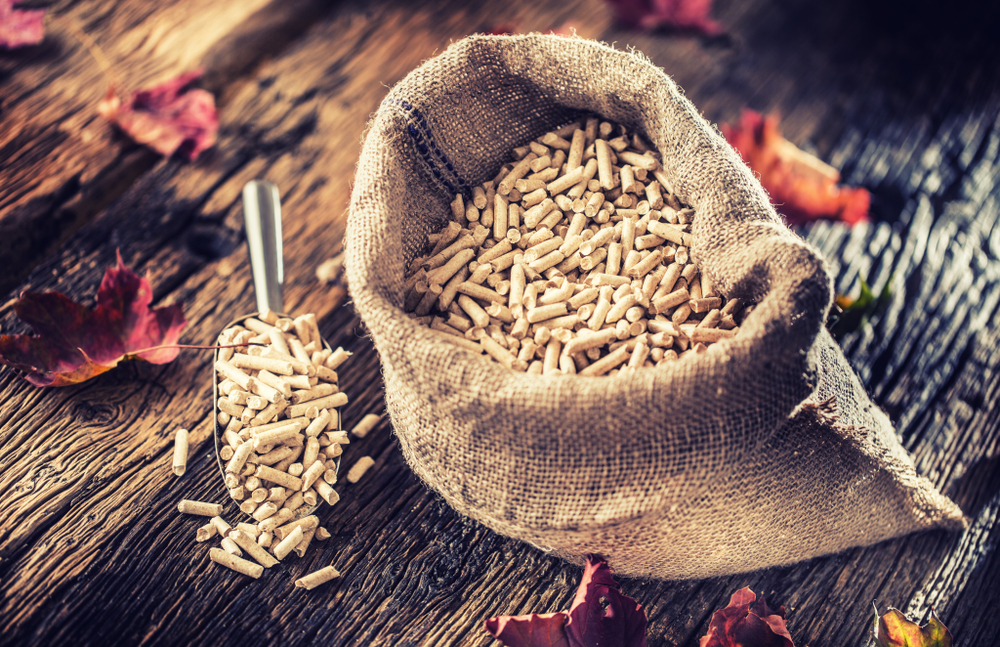 Peut-on mettre des pellets dans un poêle à bois