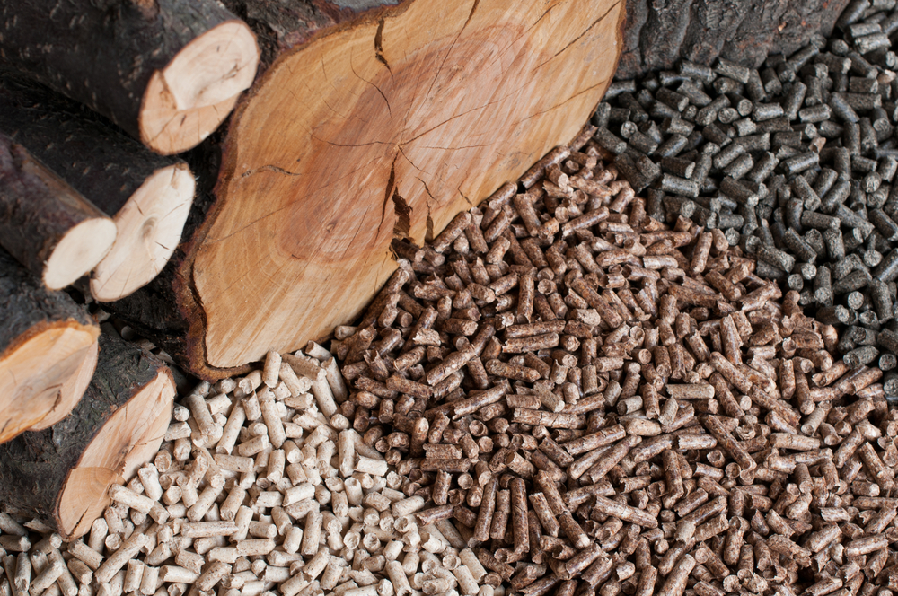 Quelle est la différence entre pellets et granulés